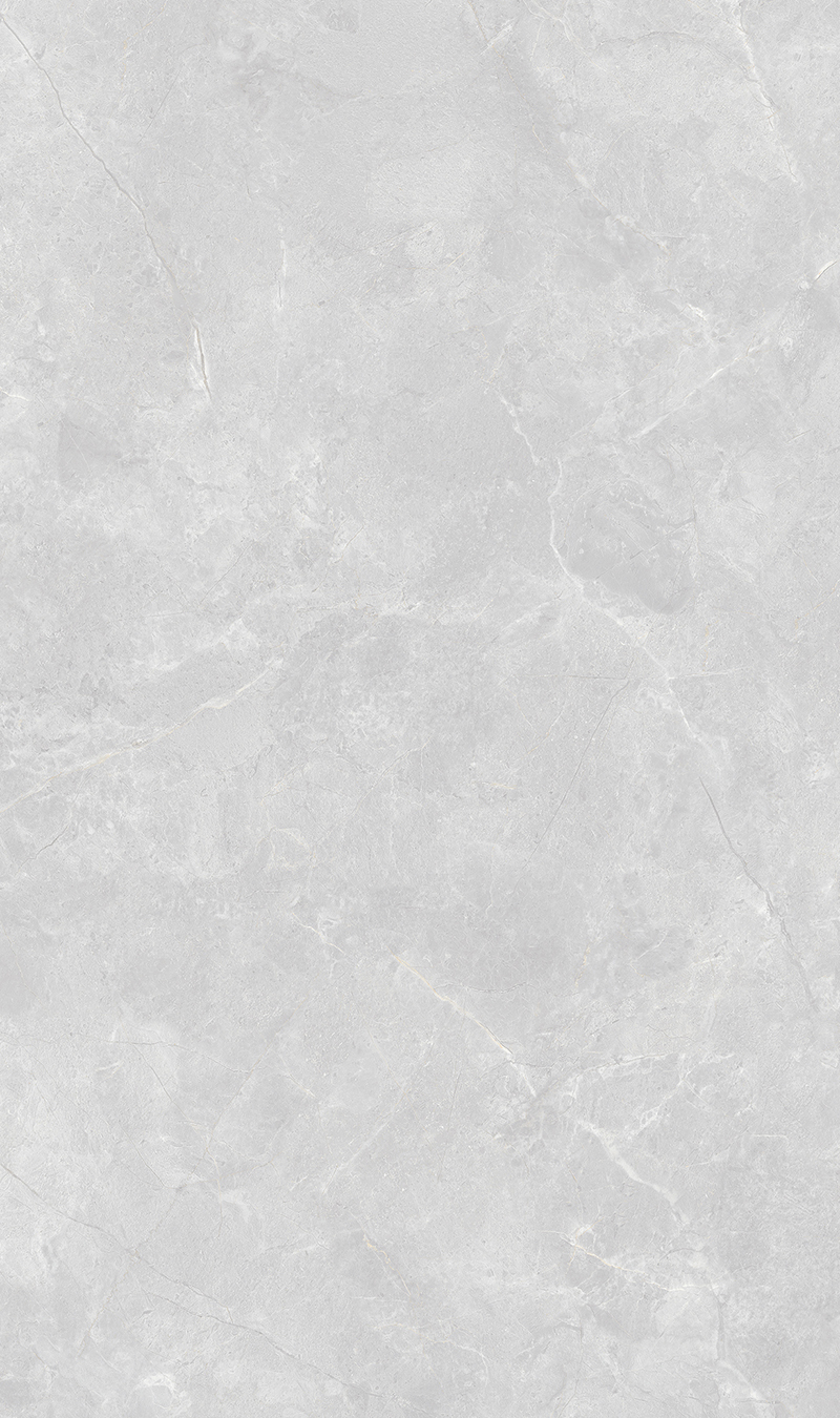 ML8135B005 