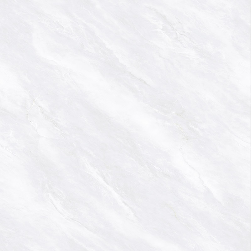 ML800B-BP-001
