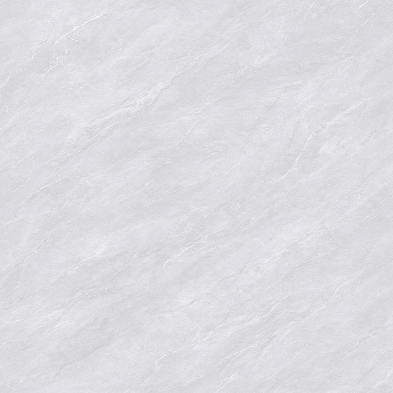 ML800B-BP-006